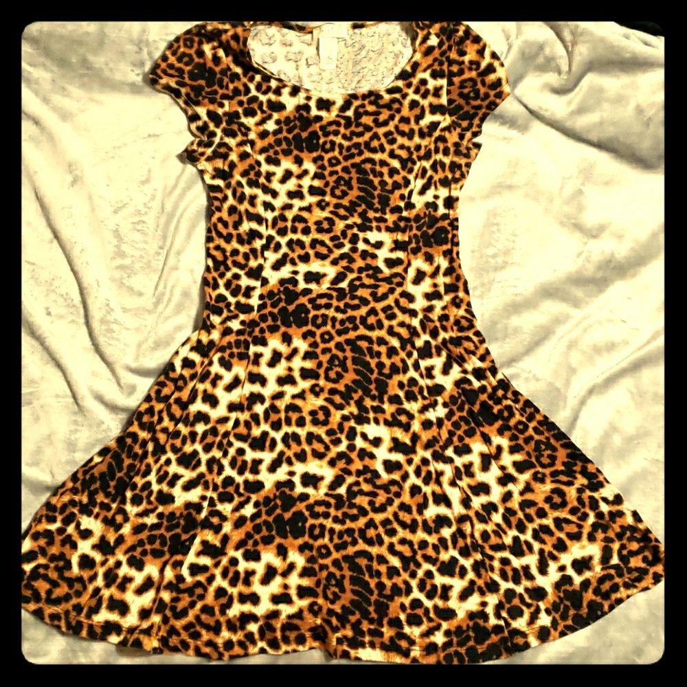 Leopard Print Skater Dress